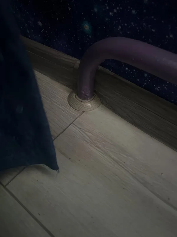 Розетта для труб ПВХ Cezar D22 M091 Сосна